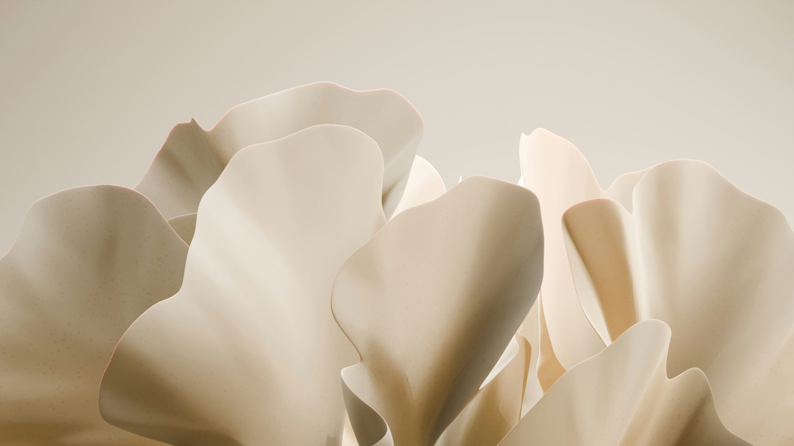 Website Stephanie Korn Footer