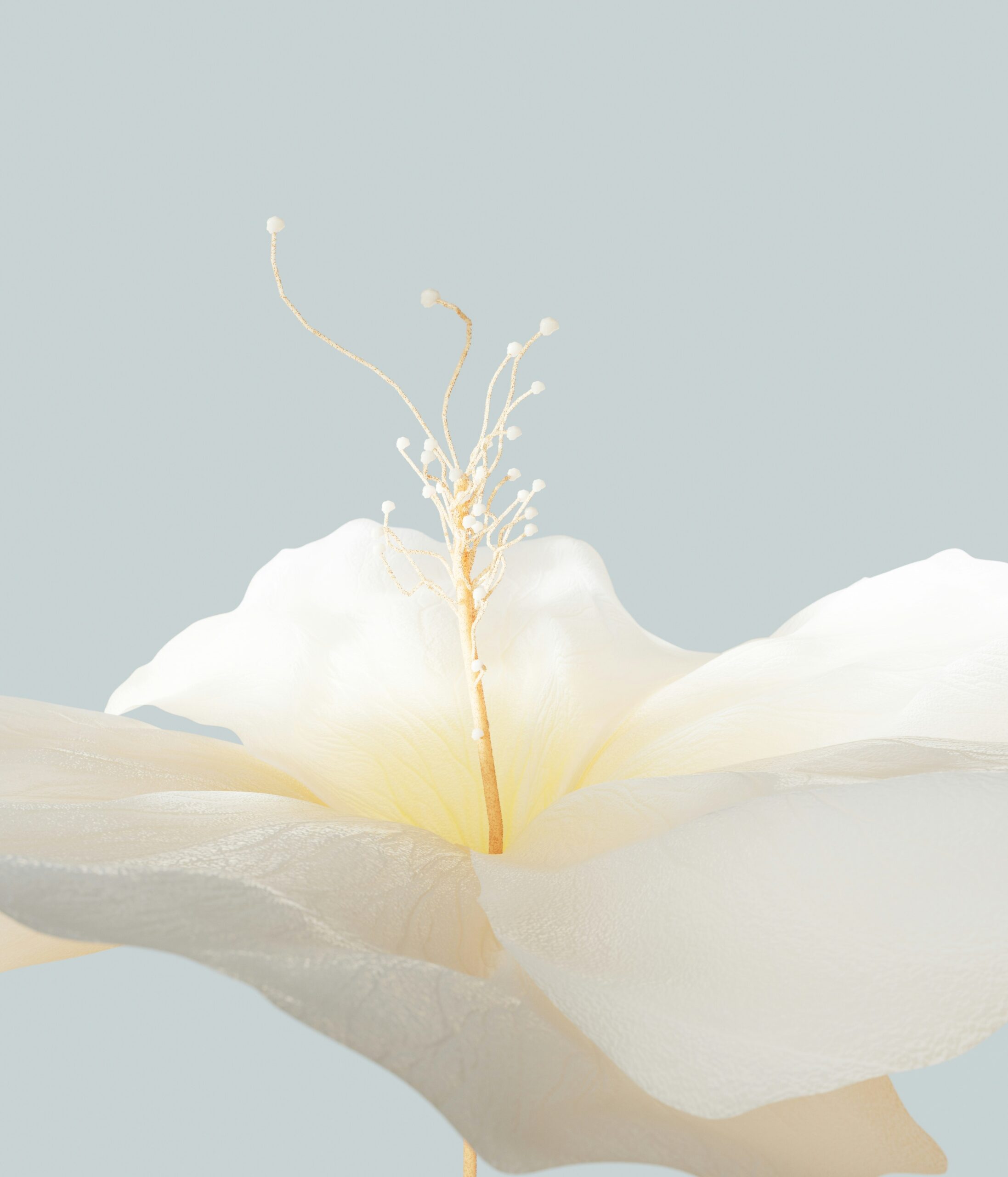 planet-volumes-8A7XcO6VpNc-unsplash